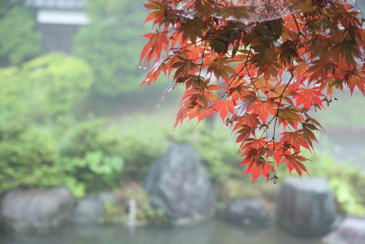 Suwakonomori Shikitei Hotel Suwa  Buitenkant foto