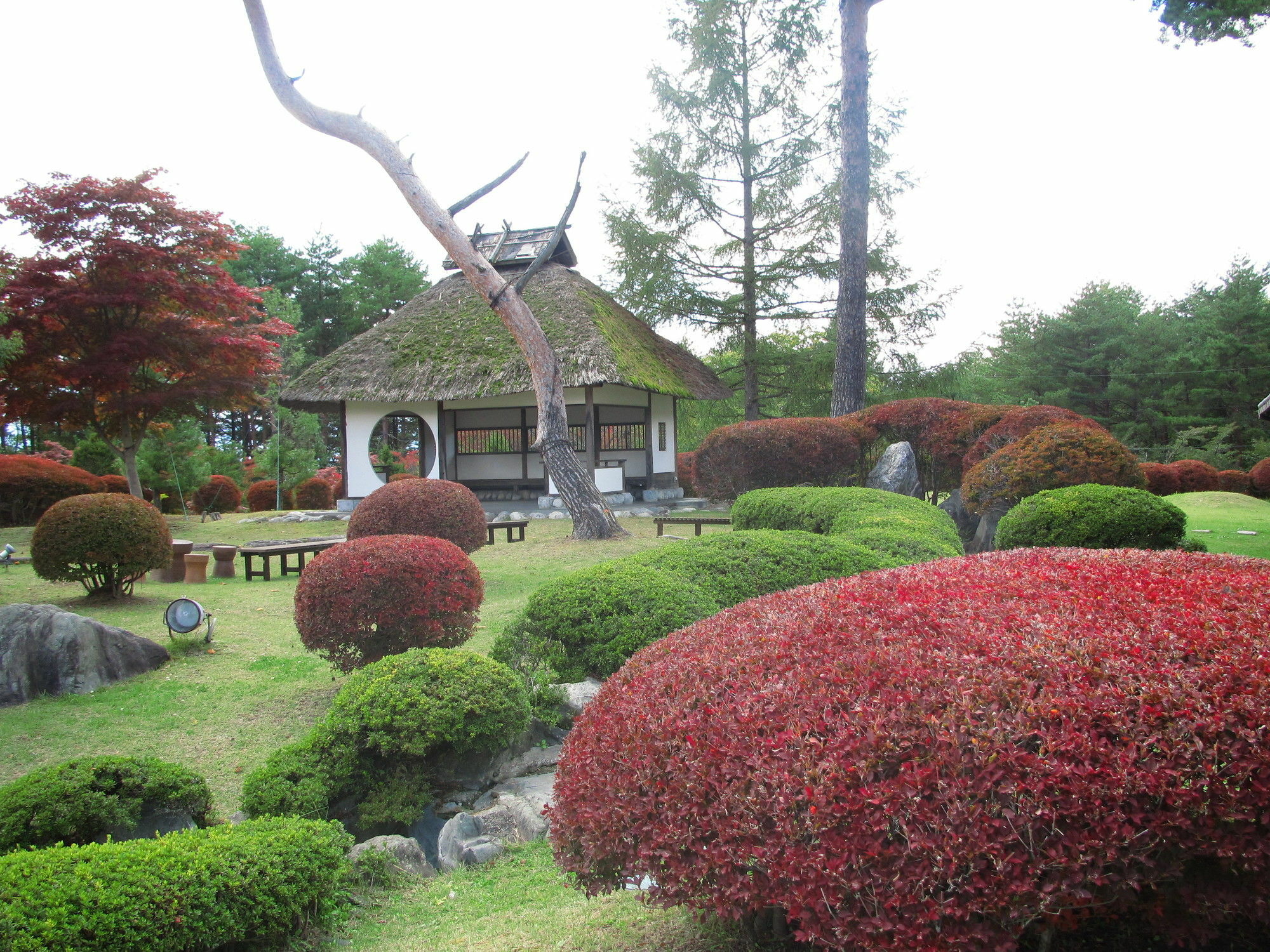 Suwakonomori Shikitei Hotel Suwa  Buitenkant foto